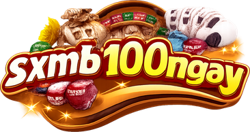 sxmb100ngay